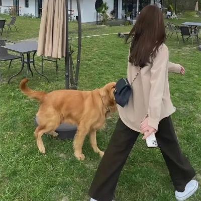 应急响应第二季